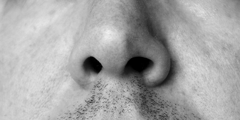 Nase
