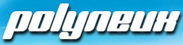 Polyneux-Logo 2017